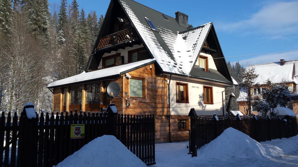 Homestay Srebrny Potok Zakopane Kültér fotó