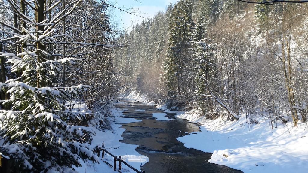 Homestay Srebrny Potok Zakopane Kültér fotó